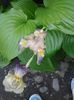 20160529_110819