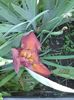 20160529_110829