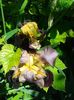20160529_110835