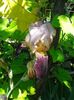 20160529_110839