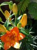 20160529_115051