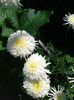 20160529_115118