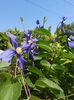 20160529_115151