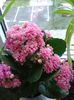 20160531_191617