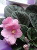20160531_191707