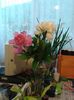 20160531_191748