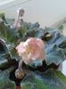 20160601_071103