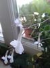 20160601_153724