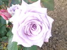 DSC03586