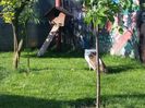 20160531_172113
