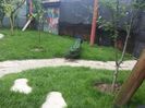 20160521_153133