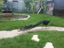 20160521_153130