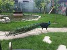 20160521_153129