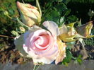 DSC03767