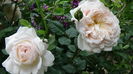 DSC07757