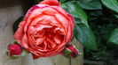 DSC07805