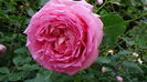 DSC07980