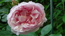 DSC08000