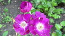 DSC08008