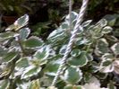 020620163096