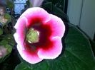 150520163055