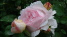 DSC07393