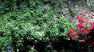 DSC07662