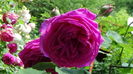 DSC07690