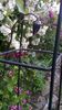 WP_20160602_099