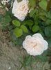 20160531_154359
