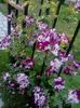 20160531_202805
