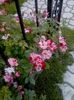 20160531_202810