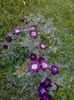 20160531_202905