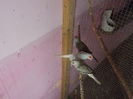 DSCN2764