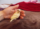 DSCN2756
