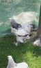 20160528_155741