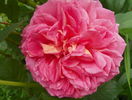 Jubilee Celebration