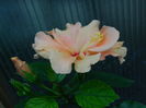 DSCN0207