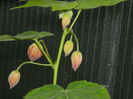 DSCN0210