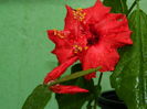 DSCN0212