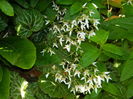 DSCN0242