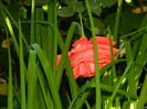 DSCN0249