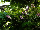 DSCN0252