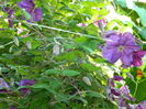 DSCN0257