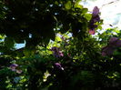 DSCN0258