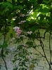 DSCN0259