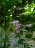 DSCN0260