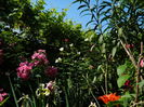 DSCN0269