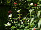 DSCN0270