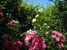 DSCN0271